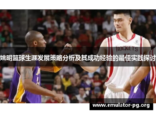 姚明篮球生涯发展策略分析及其成功经验的最佳实践探讨