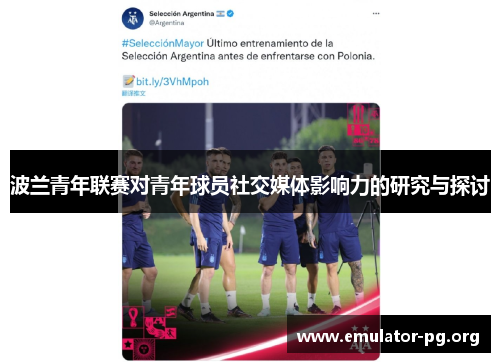 波兰青年联赛对青年球员社交媒体影响力的研究与探讨