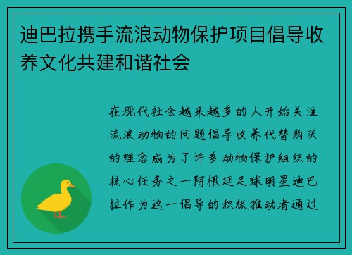 迪巴拉携手流浪动物保护项目倡导收养文化共建和谐社会